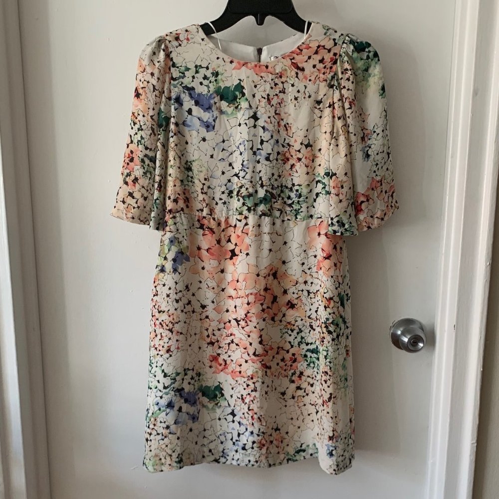 Zara Print Dress